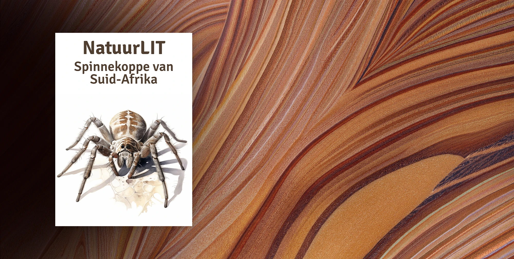 NatuurLIT: Spinnekoppe van Suid-Afrika