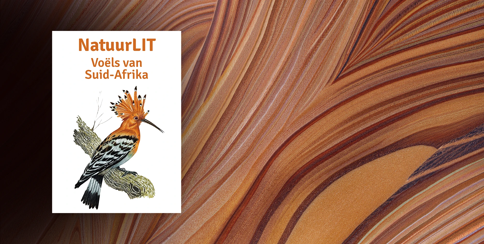 NatuurLIT: Voëls van Suid-Afrika